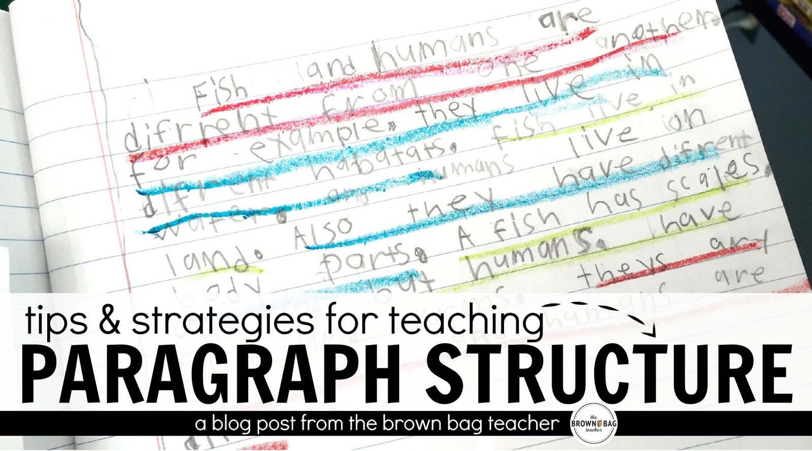 Paragraph Writing in 1st Grade | The Brown-Bag Teacher | Bloglovin’